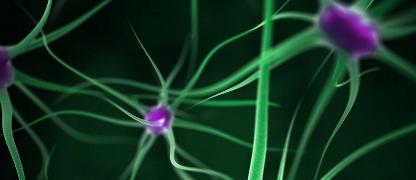 Esclerosis Múltiple: Crean células cerebrales a partir de células de la piel