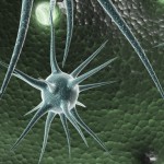 Nuevas herramientas moleculares para diagnosticar Esclerosis Múltiple
