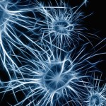 Los biomarcadores, clave para personalizar el tratamiento en la Esclerosis Múltiple