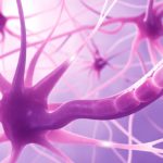 Aubagio y Lemtrada confirman su eficacia en la Esclerosis Múltiple Remitente Recurrente