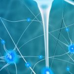 ¿Qué es la Neuropsicología? Evaluación y diagnóstico neuropsicológico en la Esclerosis Múltiple