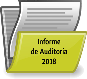 informe auditoria 2018