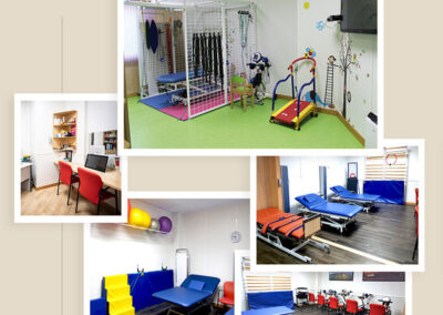 dossier informativo sobre el centro integral de enfermedades neurológicas