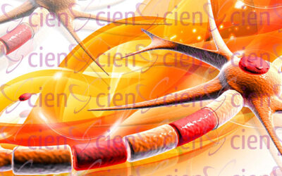 Neuropsicología: 10 puntos clave en el proceso de rehabilitación